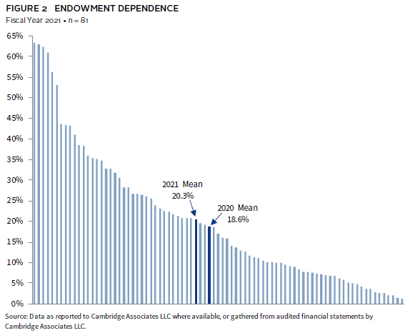 Bar chart showing the strong 10-year performance of endowments, driven by private investments.