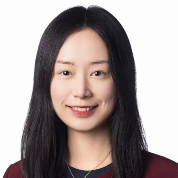 Picture of Senior Investment Director - Retirement, Insurance & Government Practice